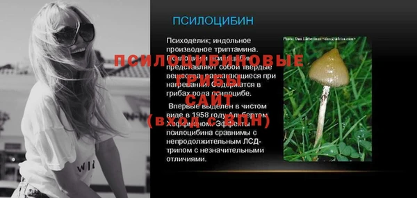 мет Арсеньев