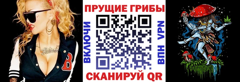 дарнет шоп  Узловая  omg рабочий сайт  Галлюциногенные грибы мухоморы 